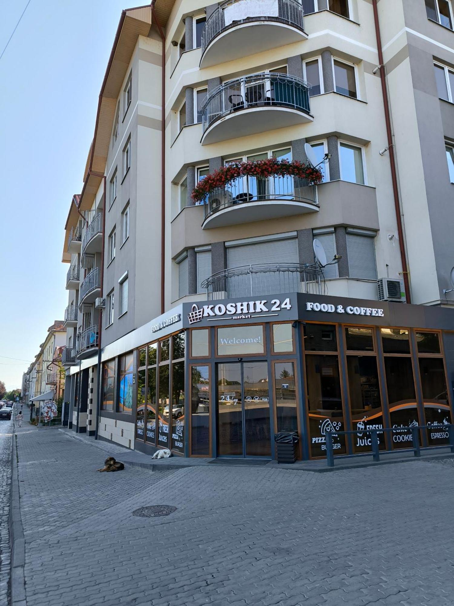 Apartments Domovik Parkaniya, 2A Munkács Kültér fotó